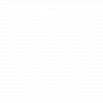 white healthcare payer | health insurance shield | health protection
